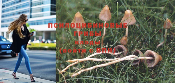 синтетический гашиш Бугульма