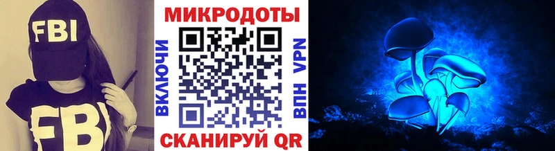 Купить  Вологда  Псилоцибиновые грибы GOLDEN TEACHER 